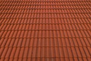 IMG_20241019_083511_667